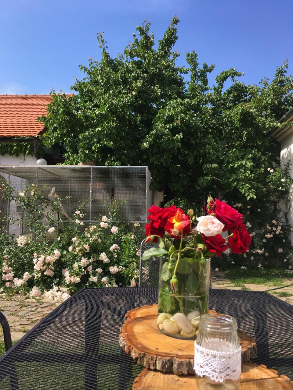 Hotel Habánský dům Dolni Vestonice Esterno foto