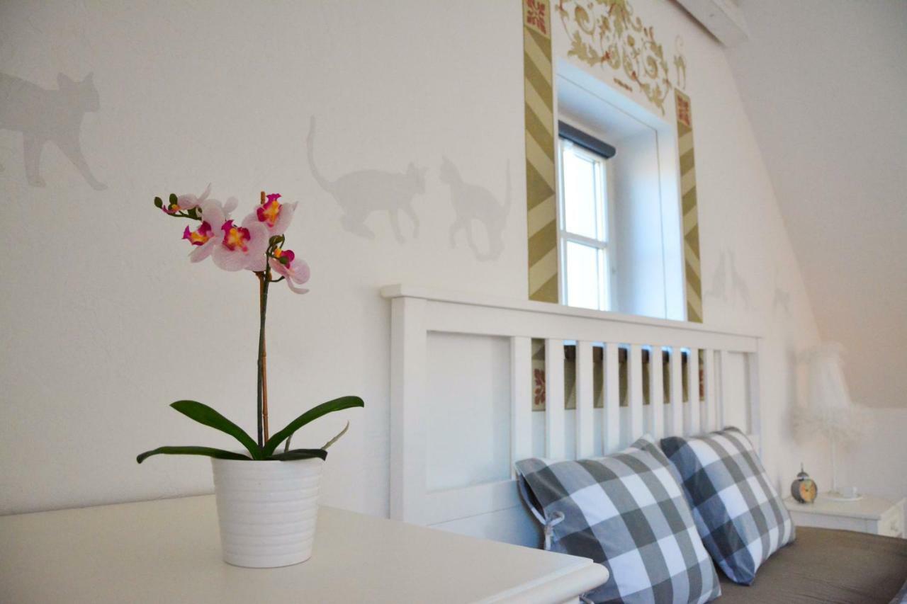 Hotel Habánský dům Dolni Vestonice Esterno foto